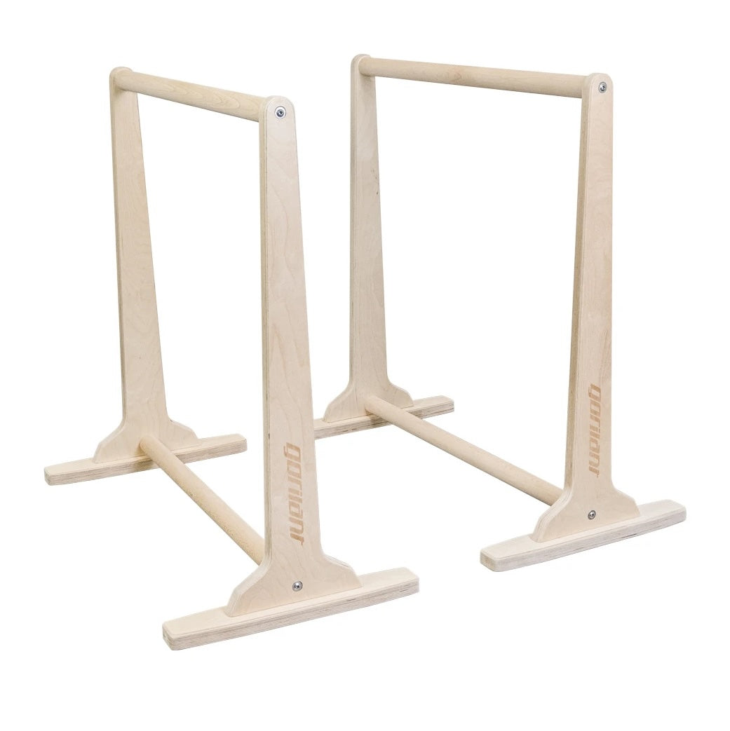 Dip Parallettes Bars