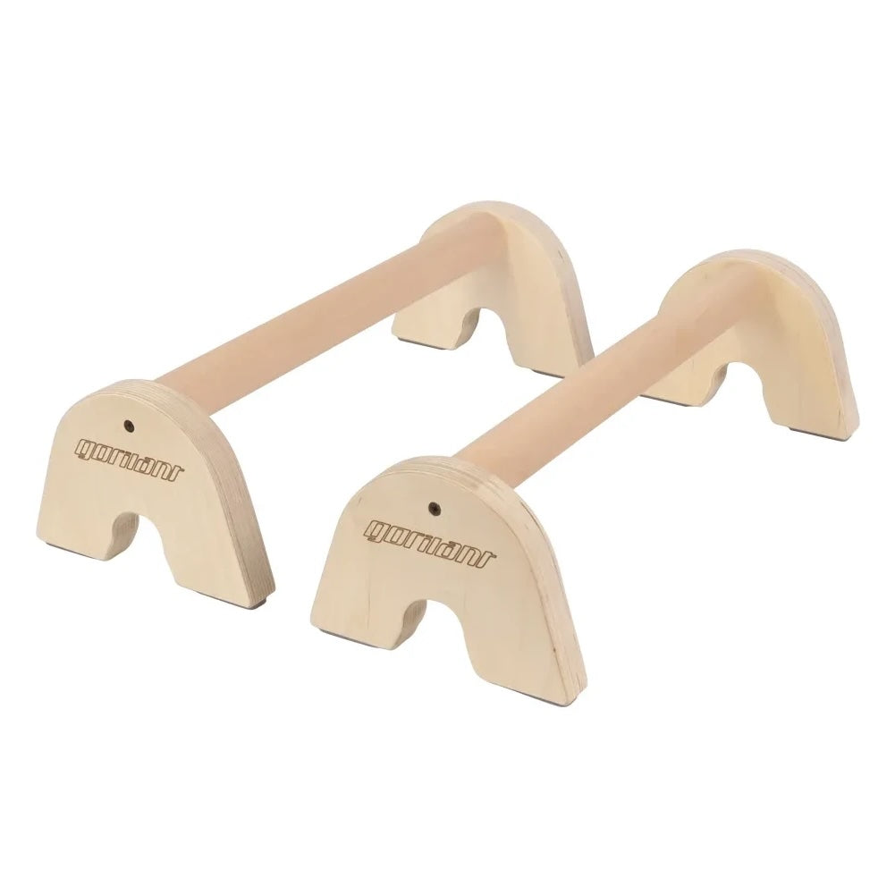 LowFit Calisthenics Parallettes