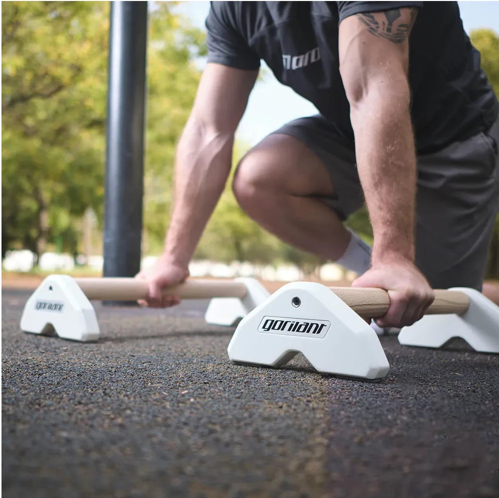 LowFit Pro Calisthenics Parallettes