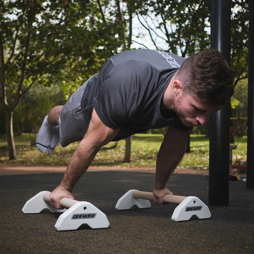 LowFit Pro Calisthenics Parallettes