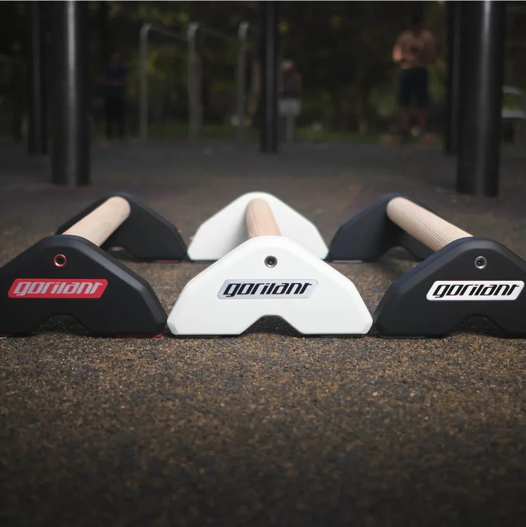 LowFit Pro Calisthenics Parallettes